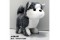 electric powered plushtoy(large,walking,sound,AA battery(2 Pcs,no battery included),husky)