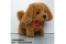 electric powered plushtoy(small size,walking,sound,AA battery(2 Pcs,no battery included),Labrador)