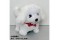 electric powered plushtoy(small size,walking,sound,AA battery(2 Pcs,no battery included),bichon frise)
